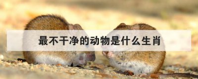 最不干凈的動物是什么生肖，十二生肖誰最臟