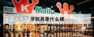 洋玩具是什么梗,洋玩具是什么意思