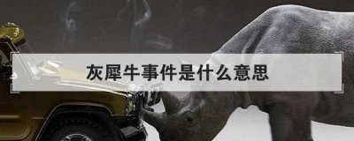 灰犀牛事件是什么意思，典型的灰犀牛事件有哪些