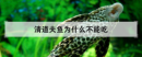 清道夫魚為什么不能吃,清道夫為什么曬干了還能活