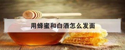 用蜂蜜和白酒怎么發(fā)面,蜂蜜加白酒發(fā)面