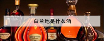 白蘭地是什么酒,張?jiān)0滋m地為什么便宜