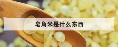 皂角米是什么東西，真正的皂角米多少錢一斤