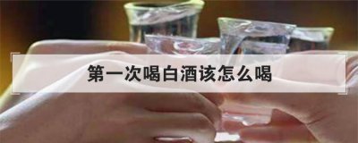 第一次喝白酒該怎么喝,白酒直接咽還是含一下