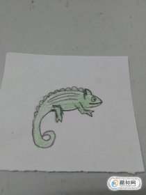 簡筆畫變色龍是怎么畫的，變色龍繪畫