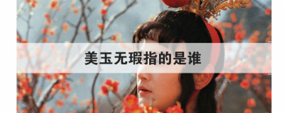 美玉無瑕指的是誰，一個是閬苑仙葩 一個是美玉無瑕