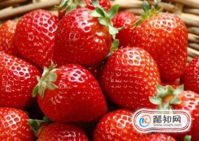 草莓適合什么季節(jié)種植，南方冬天怎么養(yǎng)草莓