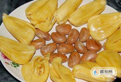 菠蘿蜜的核怎么吃，吃完菠蘿蜜千萬別碰5種食物