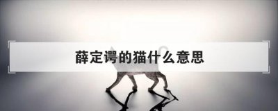 薛定諤的貓什么意思，薛定諤的貓比喻什么意思