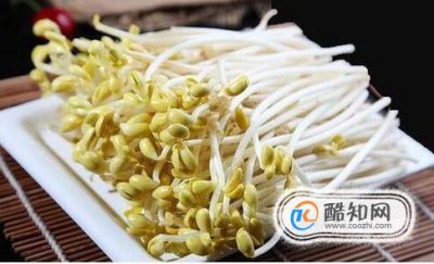 豆芽怎么保存過夜，新鮮豆芽隔夜能吃嗎