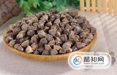 辣木籽的功效和作用及食用方法，辣木籽怎么吃是正確的