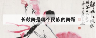 長鼓舞是哪個民族的舞蹈，長鼓舞是我國少數民族