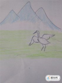 青山綠水白鷺簡筆畫，一行白鷺的簡筆畫