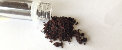 麝香是什么動物身上的哪個部位，獐子麝香割取圖片