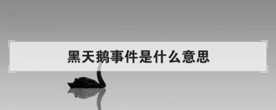 黑天鵝事件是什么意思，黑天鵝事件來源