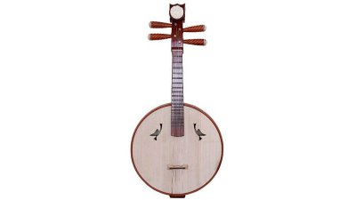 什么是彈撥樂器，彈撥樂器哪個最容易學