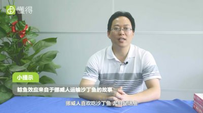 什么是鯰魚效應,鯰魚效應告訴我們什么道理
