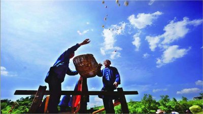 六月六看谷秀什么意思，六月六看谷秀說明了什么道理