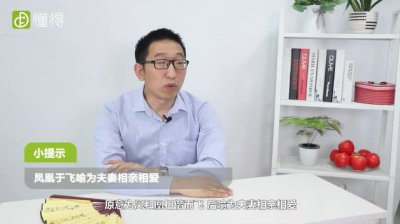 鳳凰于飛是什么意思,鳳凰于飛是不是成語