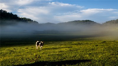 去關(guān)山牧場旅游要帶什么，關(guān)山牧場周邊景點