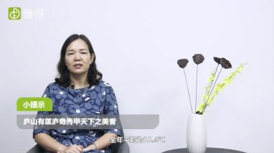 廬山旅游攻略，廬山旅游攻略之一日游