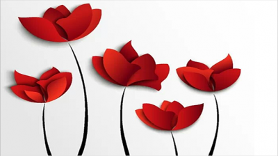 紙花怎么折,折一朵簡單美麗的花