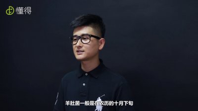 羊肚菌種植技術，羊肚菌種植方法和條件