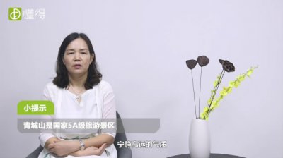 青城山旅游攻略，青城山前山要爬多久