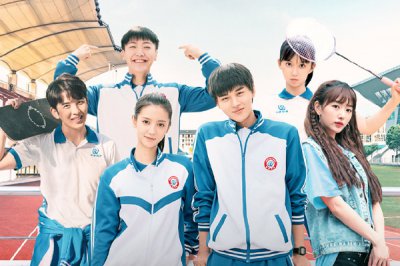 一根木頭邵天揚結局,邵天揚林洛嫣在一起了嗎