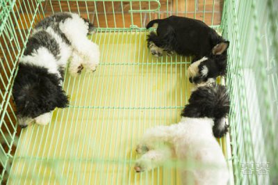 3分鐘晨會小故事及感悟，簡短的心靈雞湯小故事