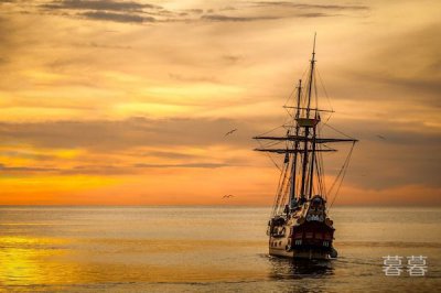 三峽發現受傷真龍的照片，長江真龍萬人圍觀是真是假