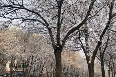 抖音老君山在哪里，洛陽在抖音上為什么那么火