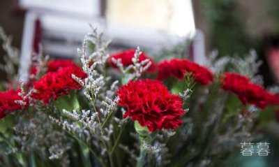 梁靜茹承認(rèn)離婚了，梁靜茹現(xiàn)在怎么樣了