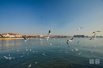 海底驚現12米巨型真龍，98年長江蛟龍現身