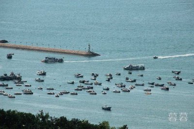 虎門大橋簡介，虎門大橋上面是誰的名字