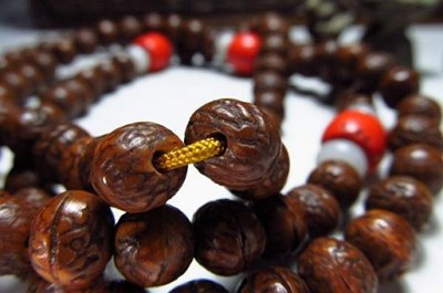 價格四十萬的鳳眼菩提鑒賞，鳳眼菩提子價格參照