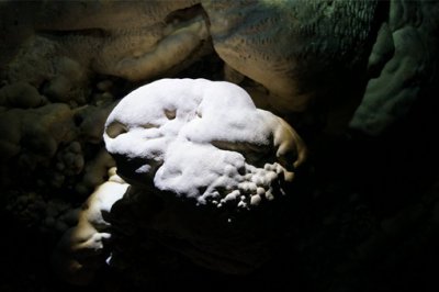 蝙蝠飛進屋里是吉是兇，臥室飛進蝙蝠 風水解說