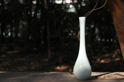 西游記中的羊脂玉凈瓶,占有羊脂玉凈瓶的妖怪是誰