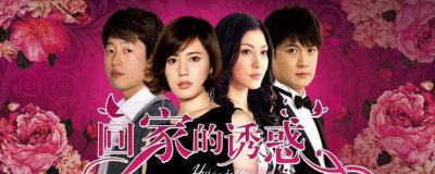 回家的誘惑大結局是什么