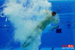 女跳水運動員尷尬圖片