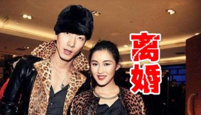 張亮什么時候為什么離的婚