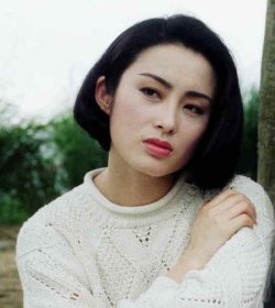 張敏丈夫是誰(shuí)背景如何張敏或?qū)?fù)出真的嗎