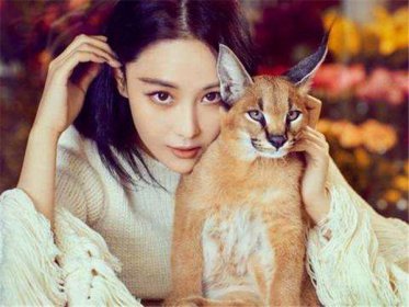 張馨予懷孕巨肚照片曝光