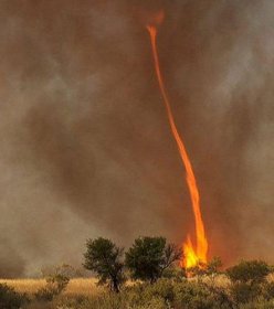 火焰龍卷風是怎么形成的,常伴隨火災形成罕見的龍卷風