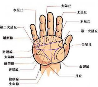 早死的手相是什么樣的，這六種一定不能忽略