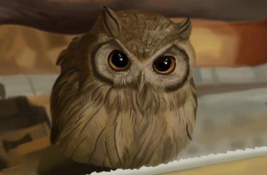 貓頭鷹是招財還是辟邪 叫預示著什么 進宅怎么化解