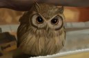 貓頭鷹是招財(cái)還是辟邪 叫預(yù)示著什么 進(jìn)宅怎么化解
