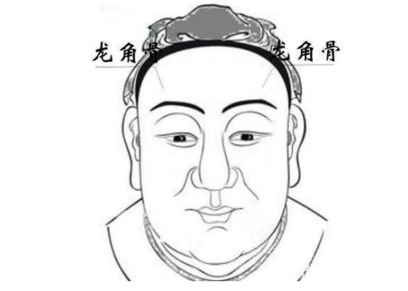 龍角骨和日月角的區(qū)別,有4大不同之處