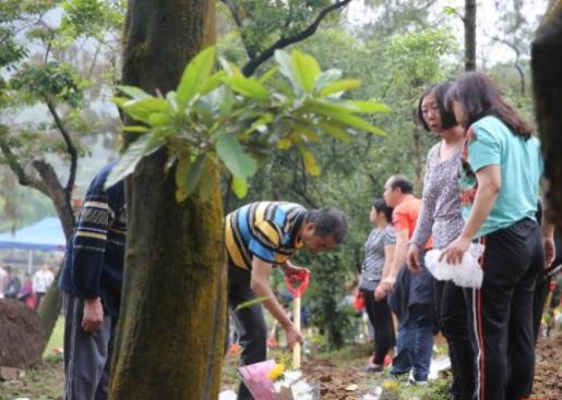男孩胎盤埋哪里風水好,埋在庭院或菜園都可以