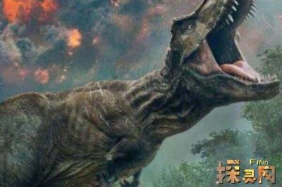 美國發(fā)現(xiàn)了一只活恐龍，卻只是人假扮的(烏龍事件)